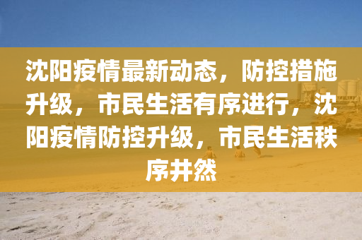沈阳疫情最新动态，防控措施升级，市民生活有序进行，沈阳疫情防控升级，市民生活秩序井然