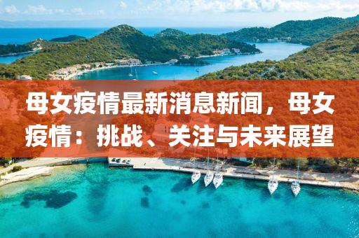 母女疫情最新消息新闻，母女疫情：挑战、关注与未来展望