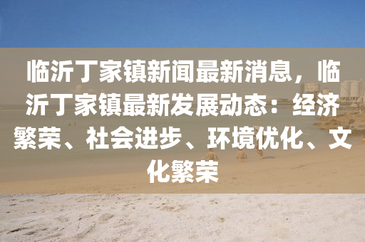 临沂丁家镇新闻最新消息，临沂丁家镇最新发展动态：经济繁荣、社会进步、环境优化、文化繁荣