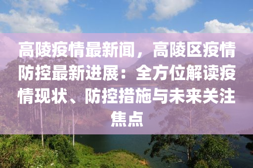 高陵疫情最新闻，高陵区疫情防控最新进展：全方位解读疫情现状、防控措施与未来关注焦点