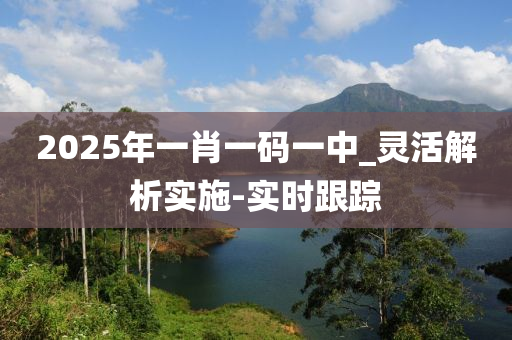 2025年一肖一码一中_灵活解析实施-实时跟踪