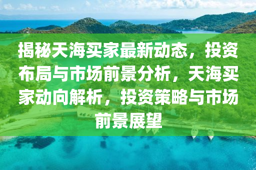揭秘天海买家最新动态，投资布局与市场前景分析，天海买家动向解析，投资策略与市场前景展望