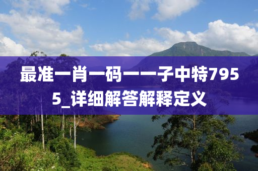 最准一肖一码一一子中特7955_详细解答解释定义