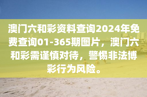 2024年12月6日 第91页