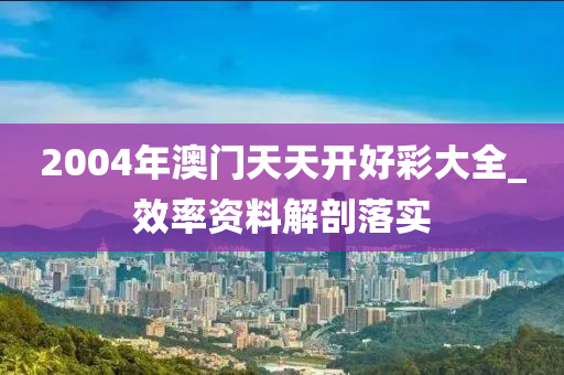 2004年澳门天天开好彩大全_效率资料解剖落实