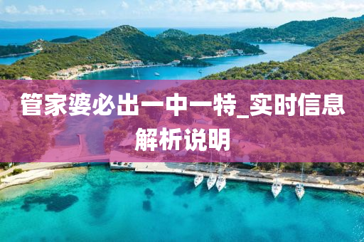 管家婆必出一中一特_实时信息解析说明