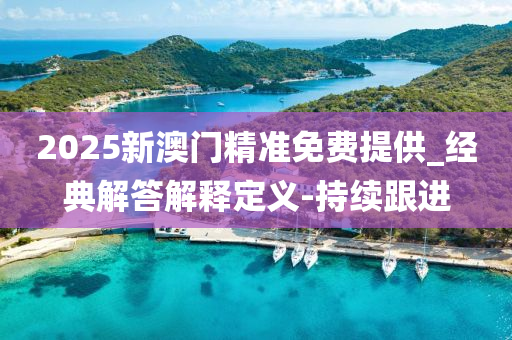2025新澳门精准免费提供_经典解答解释定义-持续跟进