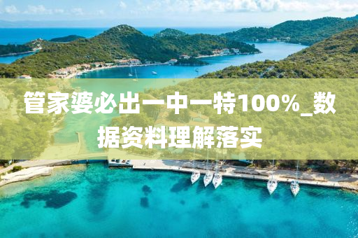 管家婆必出一中一特100%_数据资料理解落实