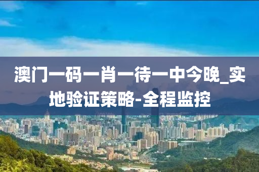 澳门一码一肖一待一中今晚_实地验证策略-全程监控