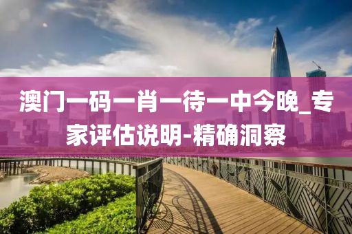 澳门一码一肖一待一中今晚_专家评估说明-精确洞察