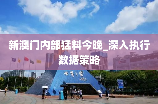 新澳门内部猛料今晚_深入执行数据策略