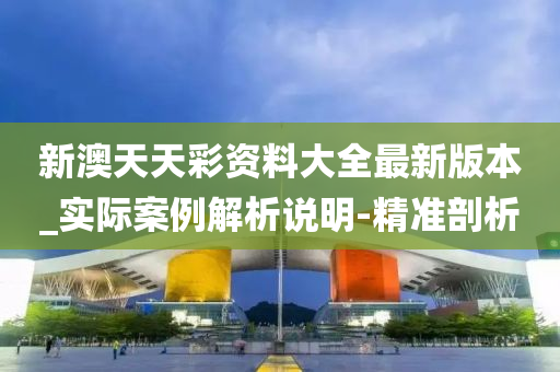 新澳天天彩资料大全最新版本_实际案例解析说明-精准剖析