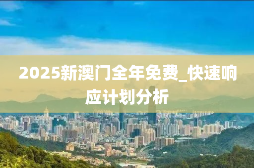 2025新澳门全年免费_快速响应计划分析