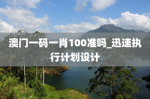 澳门一码一肖100准吗_迅速执行计划设计