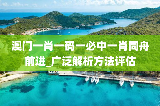 澳门一肖一码一必中一肖同舟前进_广泛解析方法评估