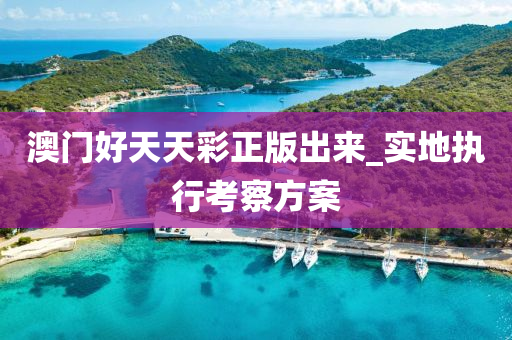 澳门好天天彩正版出来_实地执行考察方案