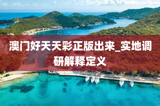 澳门好天天彩正版出来_实地调研解释定义