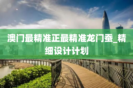 澳门最精准正最精准龙门蚕_精细设计计划