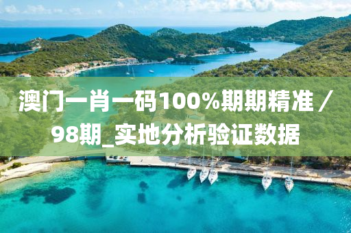 澳门一肖一码100%期期精准／98期_实地分析验证数据