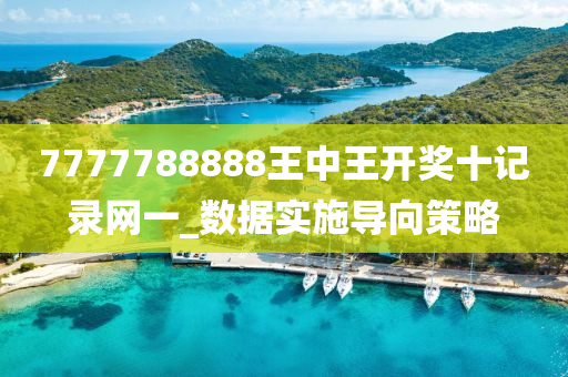 7777788888王中王开奖十记录网一_数据实施导向策略