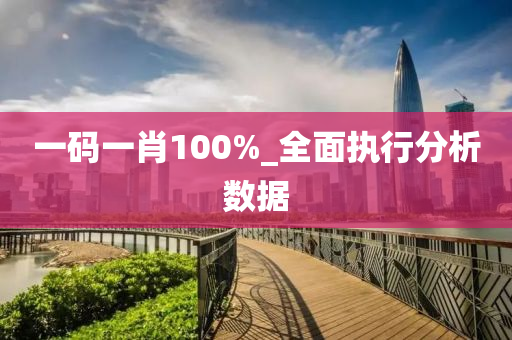 一码一肖100%_全面执行分析数据