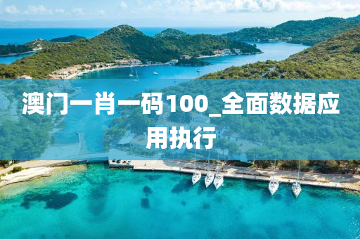 澳门一肖一码100_全面数据应用执行