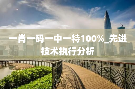 一肖一码一中一特100%_先进技术执行分析