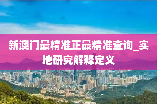 新澳门最精准正最精准查询_实地研究解释定义