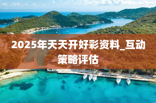 2025年天天开好彩资料_互动策略评估
