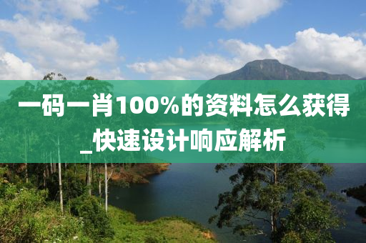 一码一肖100%的资料怎么获得_快速设计响应解析
