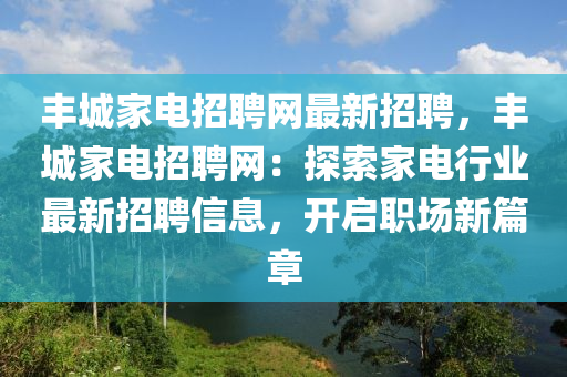 丰城家电招聘网最新招聘，丰城家电招聘网：探索家电行业最新招聘信息，开启职场新篇章