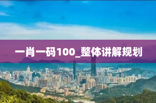 一肖一码100_整体讲解规划