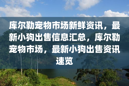库尔勒宠物市场新鲜资讯，最新小狗出售信息汇总，库尔勒宠物市场，最新小狗出售资讯速览