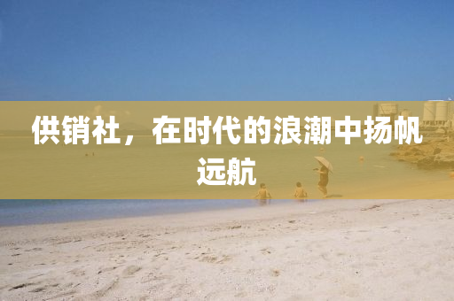供销社，在时代的浪潮中扬帆远航