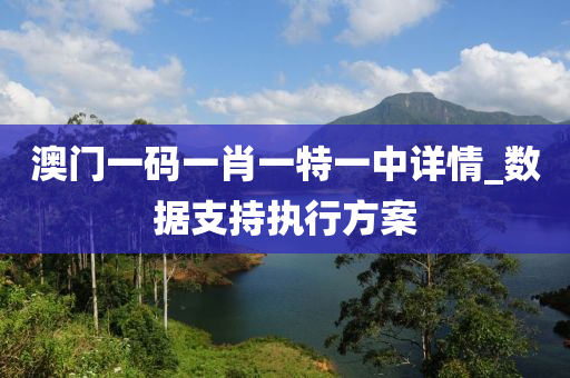 澳门一码一肖一特一中详情_数据支持执行方案