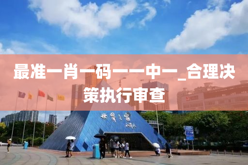 最准一肖一码一一中一_合理决策执行审查