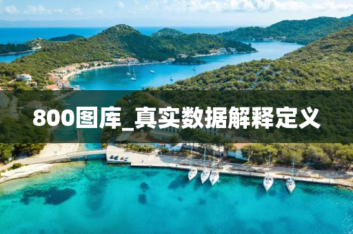 800图库_真实数据解释定义