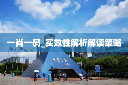 一肖一码_实效性解析解读策略