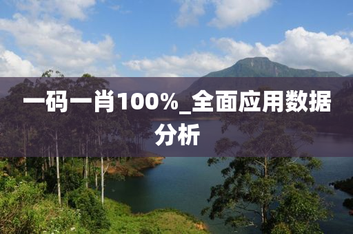 一码一肖100%_全面应用数据分析