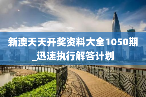 新澳天天开奖资料大全1050期_迅速执行解答计划