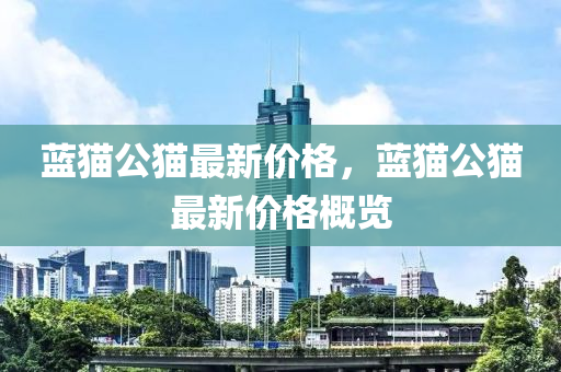 蓝猫公猫最新价格，蓝猫公猫最新价格概览