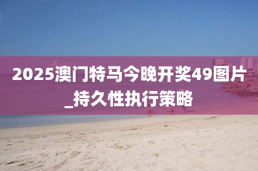 2025澳门特马今晚开奖49图片_持久性执行策略