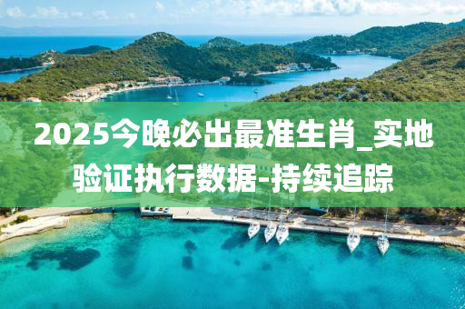 2025今晚必出最准生肖_实地验证执行数据-持续追踪