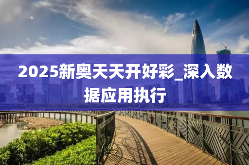 2025新奥天天开好彩_深入数据应用执行
