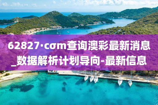 62827·cσm查询澳彩最新消息_数据解析计划导向-最新信息