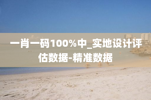 一肖一码100%中_实地设计评估数据-精准数据