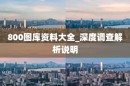 800图库资料大全_深度调查解析说明