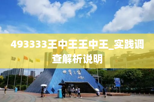 493333王中王王中王_实践调查解析说明