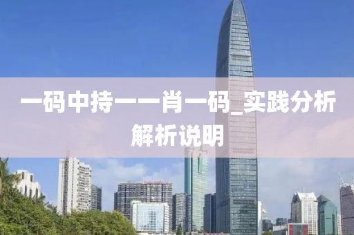 一码中持一一肖一码_实践分析解析说明