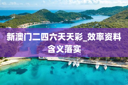 新澳门二四六天天彩_效率资料含义落实
